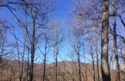 Gerton Cabina | Family Mountain Retreat 13 miles from Asheville (Holly Cottage)