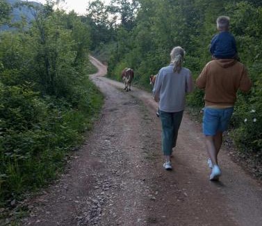Montenegro Casa | Family owned self sufficient ECO farm TARA
