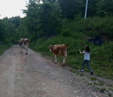 Montenegro Casa | Family owned self sufficient ECO farm TARA