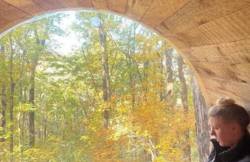 Wildwood Cabina | Family & Pet Friendly Treehouse with Amazing Views