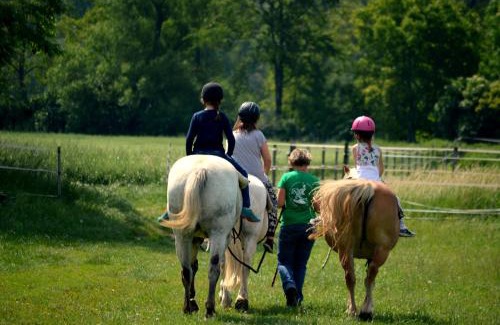 Frankenau-Unterpullendorf Apartamento | Family Ranch Urlaub am Pferdehof