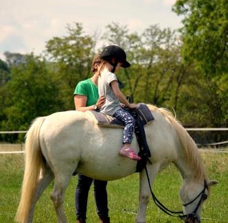 Frankenau-Unterpullendorf Apartamento | Family Ranch Urlaub am Pferdehof