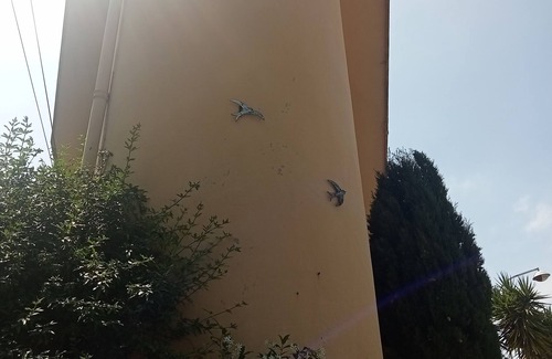 Cimiez Villa | Family villa in Nice 10 minutes from Promenade des Anglais