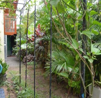 Ettukala Casa | Familyhouse