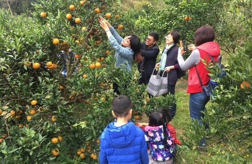 Emei Casa | Fanny Manor B&B