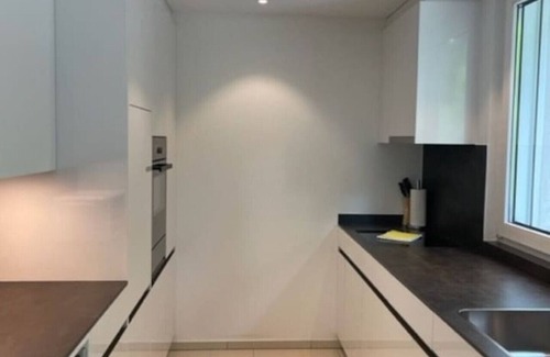 Fluntern Apartamento | Fantastic 2 BD flat: quite, sunny, central (Duke1)