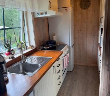Samnanger Casa | Fantastic cabin in the woods & boat for rental or 2 days free boat on 7 days stay
