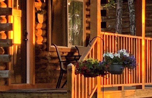 Willow Cabina | Fantastic Cabin in Willow, Sleeps 3! Full kitchen and bathroom!