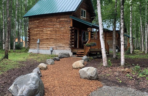Willow Cabina | Fantastic Cabin in Willow, Sleeps 3! Full kitchen and bathroom!