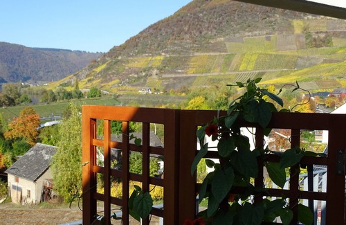 Senheim Apartamento | Mosel vista fantástica desde el apartamento "Pinot Noir Gabinete", Cochem