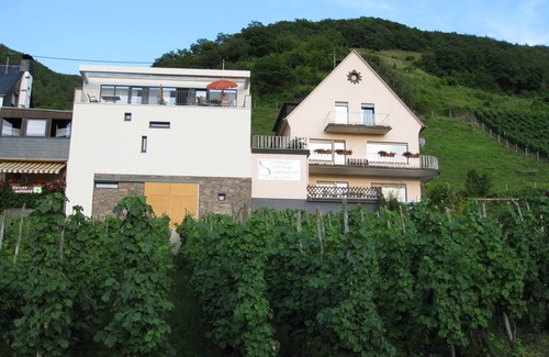 Senheim Apartamento | Mosel vista fantástica desde el apartamento "Pinot Noir Gabinete", Cochem