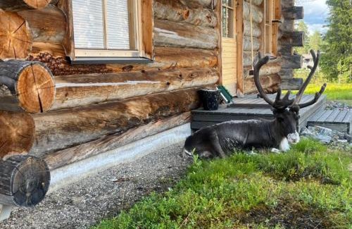 Akaslompolo Apartamento | Far And Away Cabin