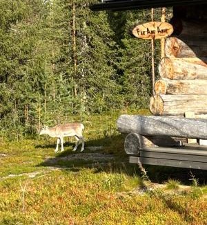 Akaslompolo Apartamento | Far And Away Cabin