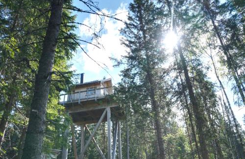 Ringsaker Otro | Faråsen Luxury Treetop Cabin - Sleep Among the Trees