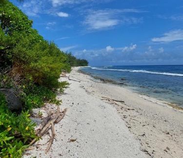Temae Casa | Fare Mama Fenua plage baleines Moorea Temae