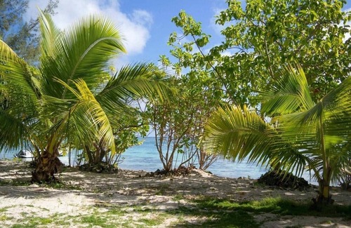Temae Chalet De Esquí | Fare Tiaia - Bungalow Totara Plage