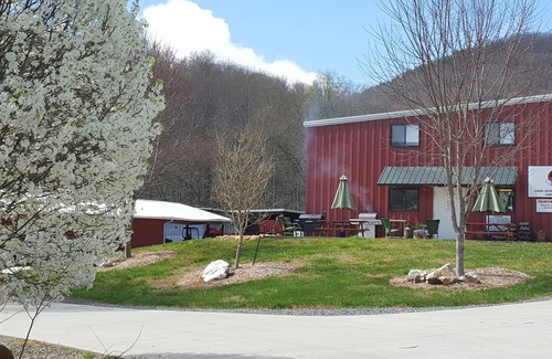 Hayesville Apartamento | Agroturismo en Walnut Hollow Ranch