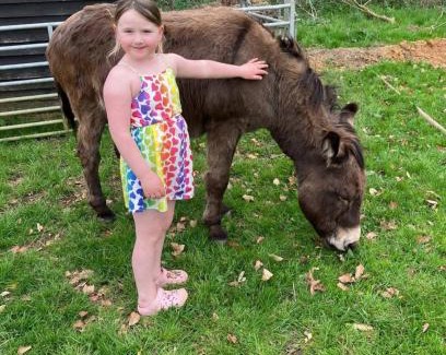 Hertford Otro | Farm stay belltent activities