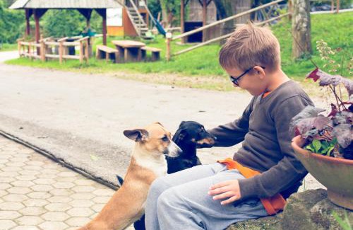 Ljubno Casa | Farm Stay Loger