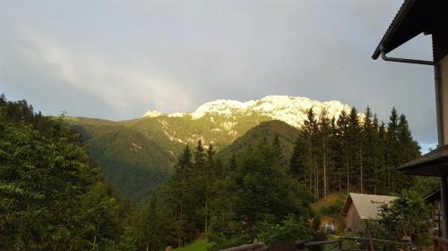 Solcava Casa | Farm stay Majdač