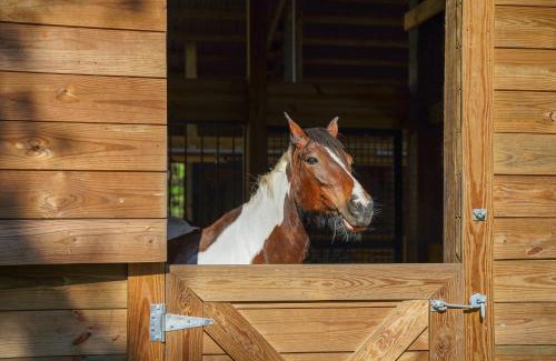 Lakeland Apartamento | Farm Stay Modern Barndominium in Lakeland!
