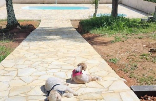 Mato do Gado Casa | Farm with swimming pool, fireplace and gourmet space surrounded by greenery.