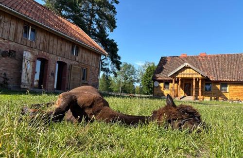 gmina Janowo Casa | Farma Puchałowo
