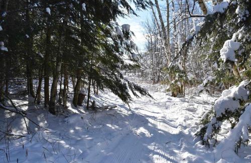 Stowe Area Casa | Farmhouse cottage close to Smugglers Notch