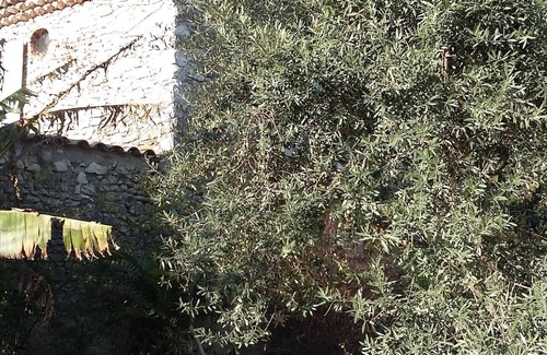 La Batie-Rolland Casa | Casa rural Drôme provençale