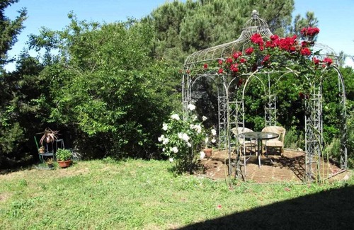 San Giuliano Terme Apartamento | Farmhouse La Grotta - Apartment Frantoio