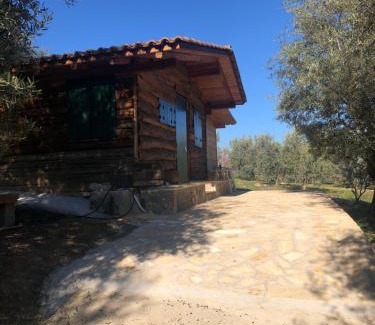 Oasis Casa | Farmhouse Prosilio