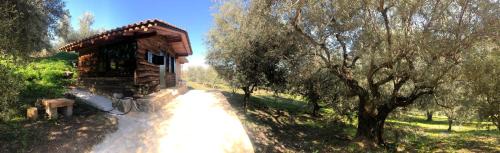 Oasis Casa | Farmhouse Prosilio