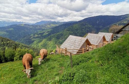 Ljubno Casa | Farmstay&Glamping Visočnik