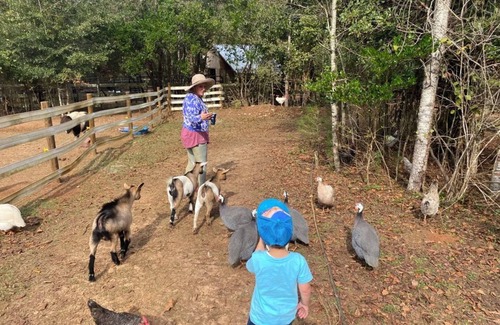 Tallahassee Alquiler De RV | Farmstay- SMALL RV primitive site