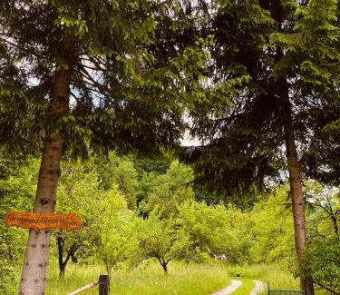 Montenegro Casa | Farmstead Green Haven