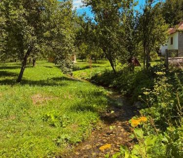 Montenegro Casa | Farmstead Green Haven