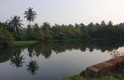 Kozhikode Casa | Farmville Riverside