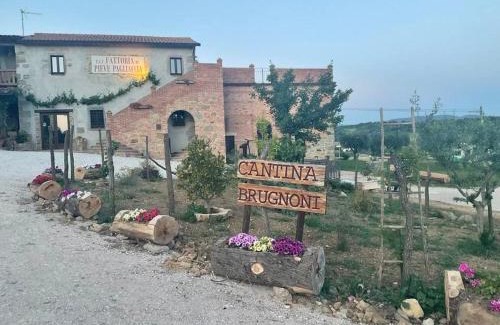 Bosco Apartamento | Fattoria di Pieve Pagliaccia - Cantina Brugnoni