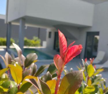 Banjole Casa | Favoloso Duplex Volme - Banjole, Pula, Croazia