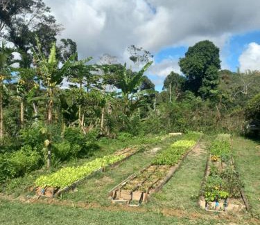 Aritagua Cabina | Fazenda 101