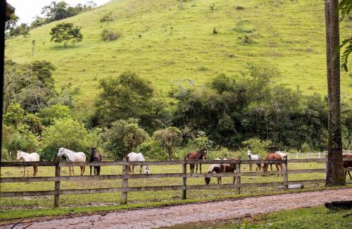 Ipiabas Casa | Fazenda Jurea Charme Colonial 10 suítes Ipiabas Rj - Uma fazenda centenária só pra você e sua família