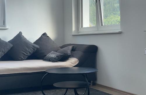 St. Blasien Apartamento | Fe-Ba Ferienwohnung