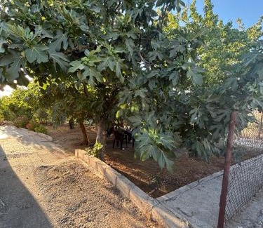 Ajloun Casa | Featured House Furnished Independent for Rent