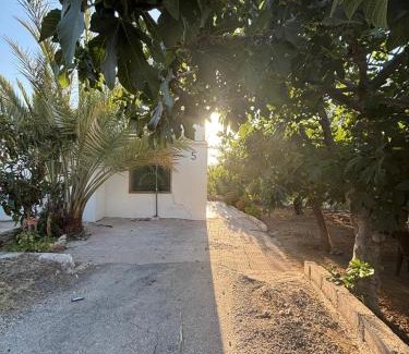 Ajloun Casa | Featured House Furnished Independent for Rent