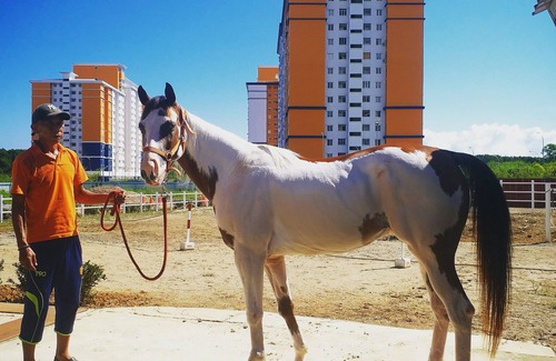 Labuan Apartamento | Siéntete como en casa con nosotros