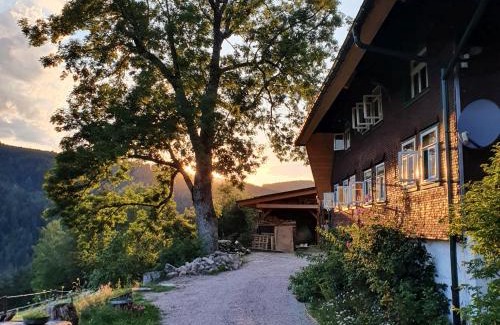 Triberg im Schwarzwald Apartamento | Feißesberghof