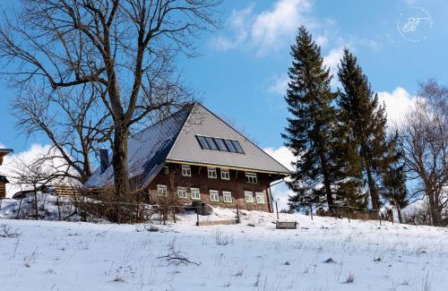 Triberg im Schwarzwald Apartamento | Feißesberghof - Wohnung in der Tenne