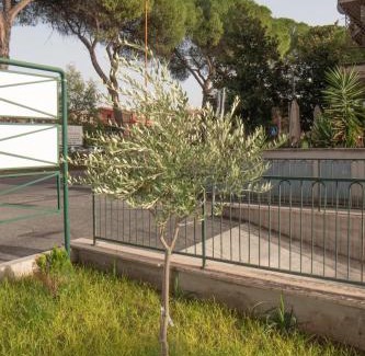Villanova Apartamento | Fele's house