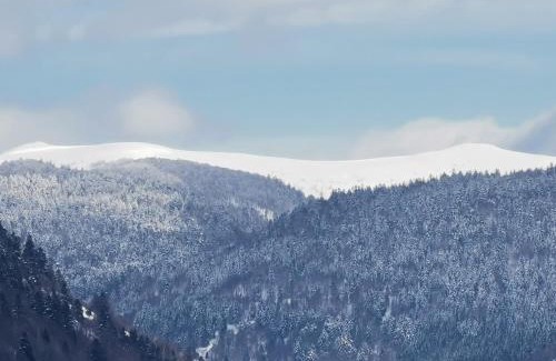La Bresse Chalet De Esquí | Fenêtre sur les crêtes Vosgiennes