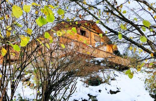 La Bresse Chalet De Esquí | Fenêtre sur les crêtes Vosgiennes